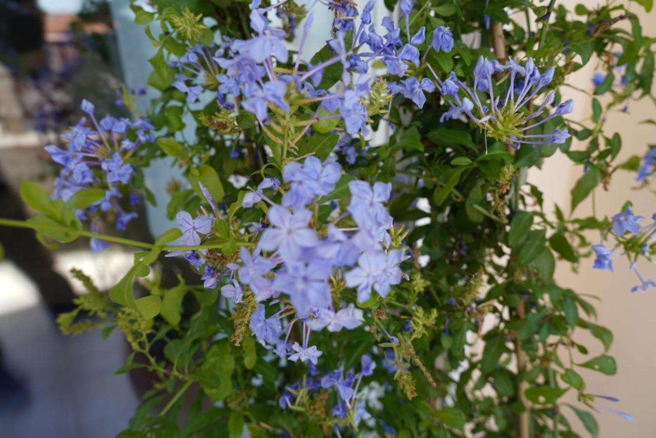 Апартаменты Blue Jasmine Эйон Экстерьер фото